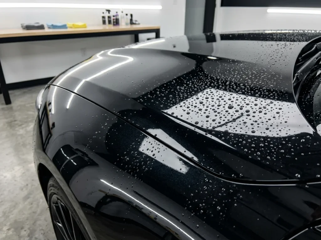 Exterior Paint Care and Long-Term Protection