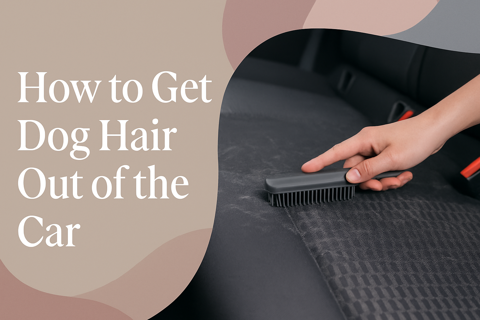 How to Get Dog Hair Out of the Car
