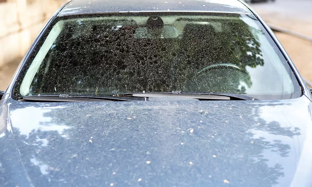 Water Spots on car