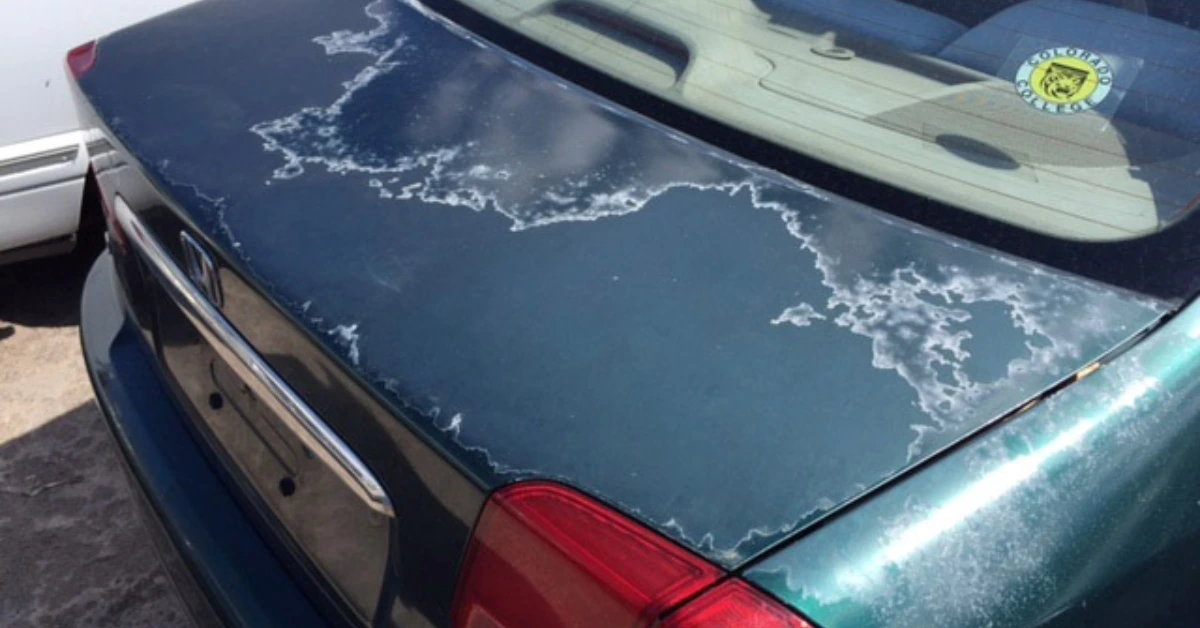 Remove Oxidation from Car Paint