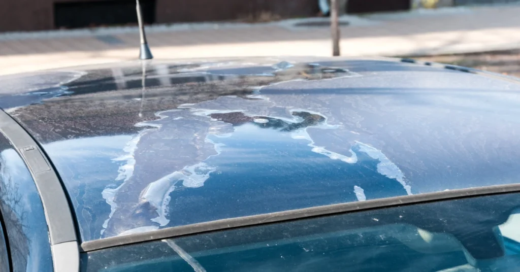 Remove Oxidation from Car Paint
