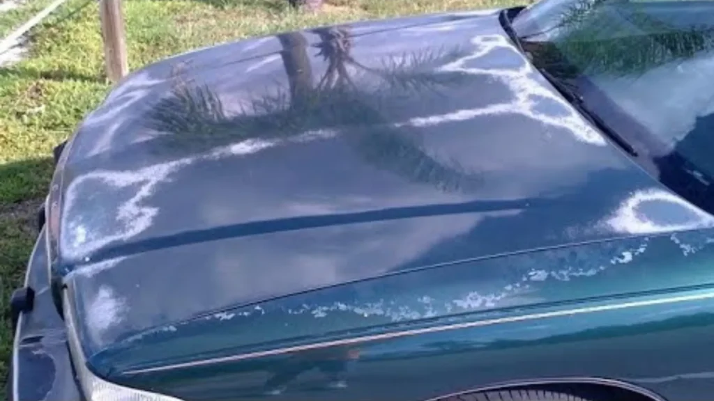 How to Prevent Clear Coat Failure After Repair  